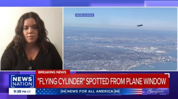 The passenger, Michelle Reyes, said her father's best guess was that it was a drone