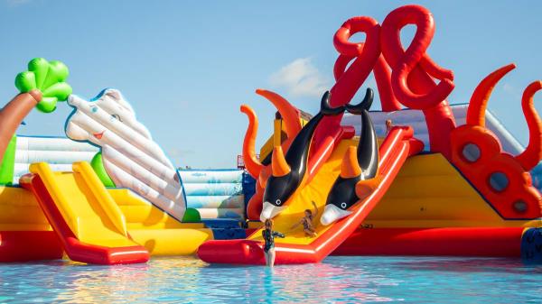 奥克兰最适合全家参加的夏季活动